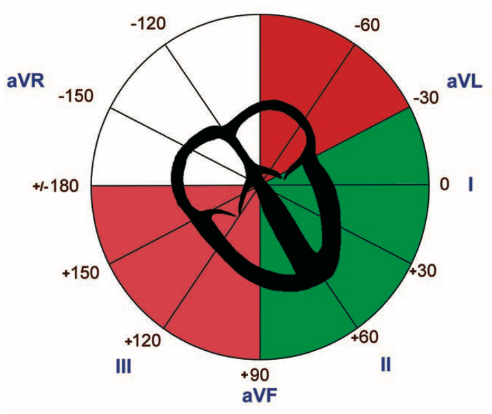 cardiacaxis.png